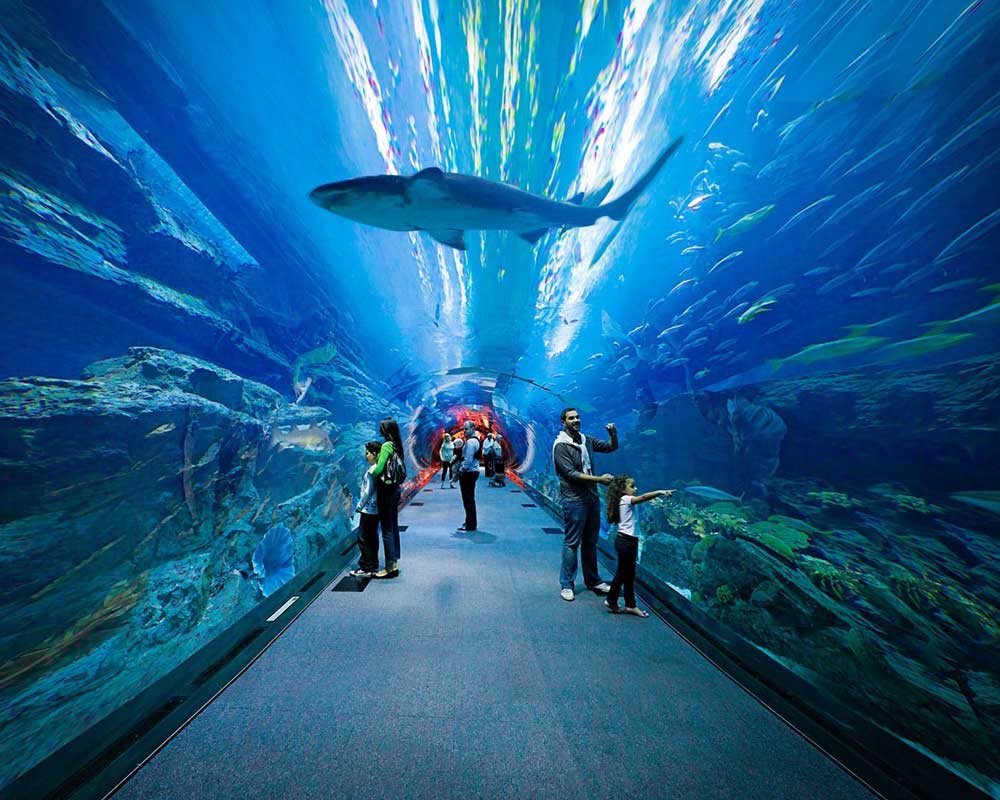 Day 02: D U B A I CITY TOUR WITH MONO RIDE AT JUEMERAH + DUBAI AQUARIUM & UNDER WATER ZOO +EVENING BHURJ KHALIFA + FOUNTAIN SHOW (B, L, D)
